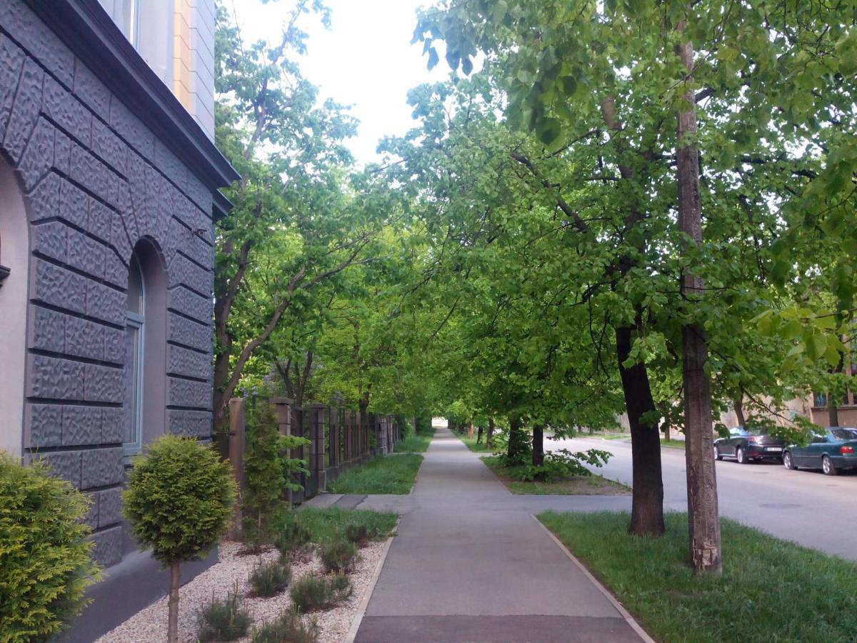 Appartement Premium Class Apartment, Free Parking, Maximum 5 Guests, 2 Bedrooms, 3 Beds *